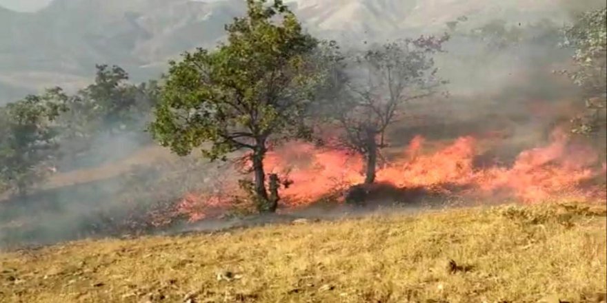 Elazığ Arıcak’da orman yangını