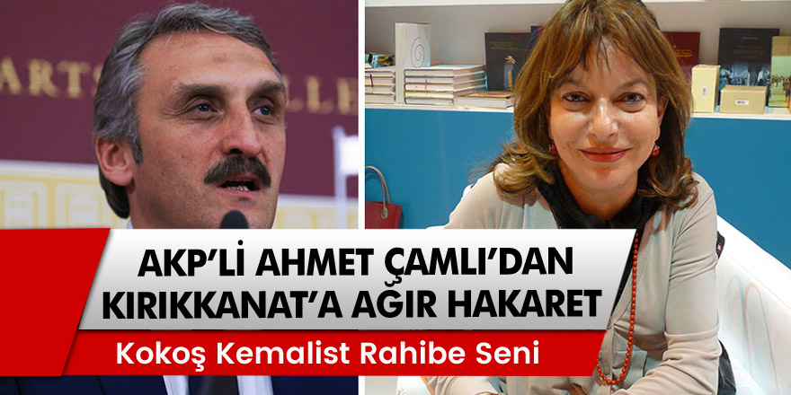 AKP İstanbul Milletvekili Ahmet Hamdi Çamlı'dan Mine Kırıkkanat'a ağır hakaret