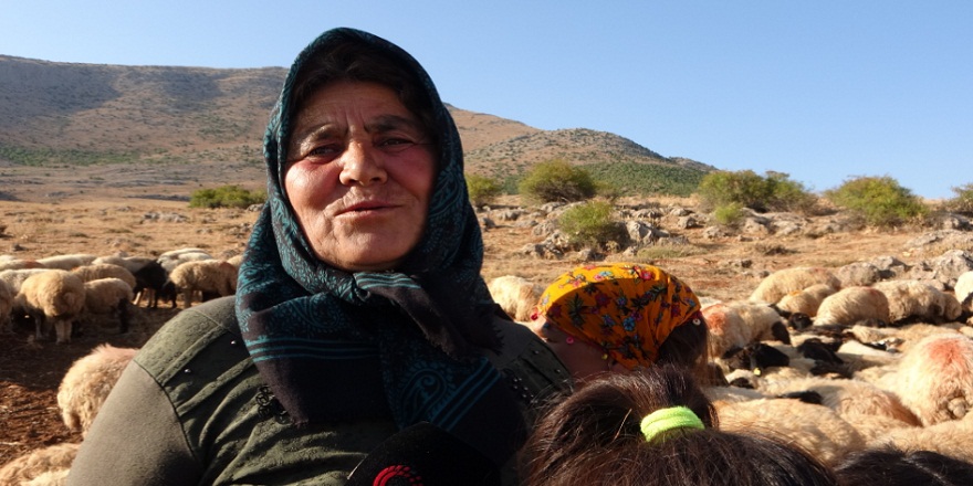 Toros'ların zirvesinde yaşayan Yörük Ana mehmetçik için kurbanlar kesip dualar ediyor!