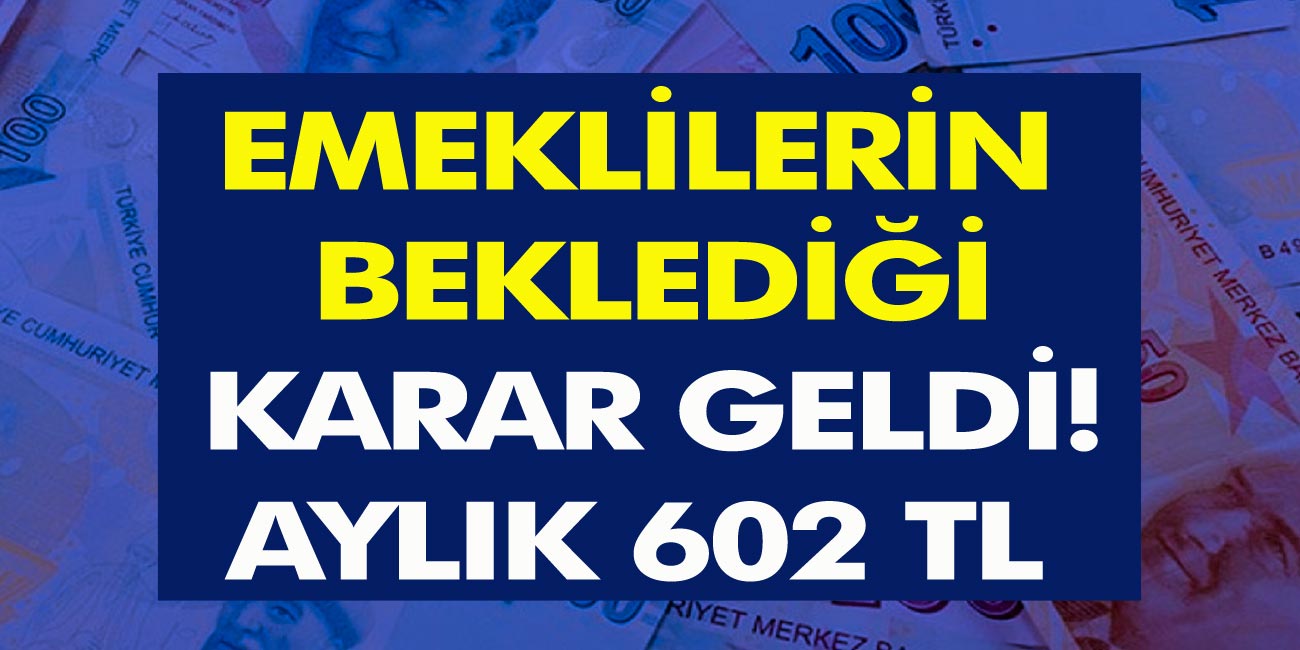 Emeklilerin yıllardır beklediği karar geldi! Aylık 602 TL Ek Ödeme Yapılacak! e-Devlet Başvuruları Başladı…