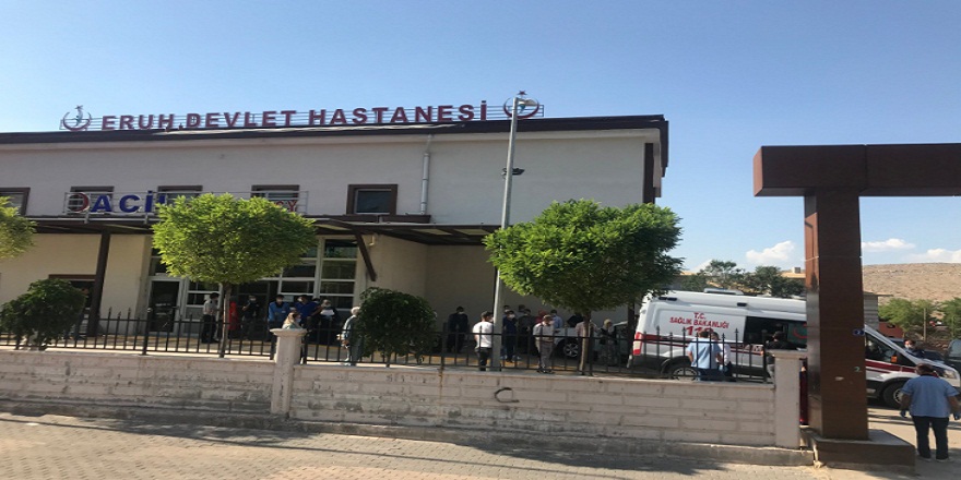 Siirt'te ağaçtan düşen kadın yaşamını yitirdi