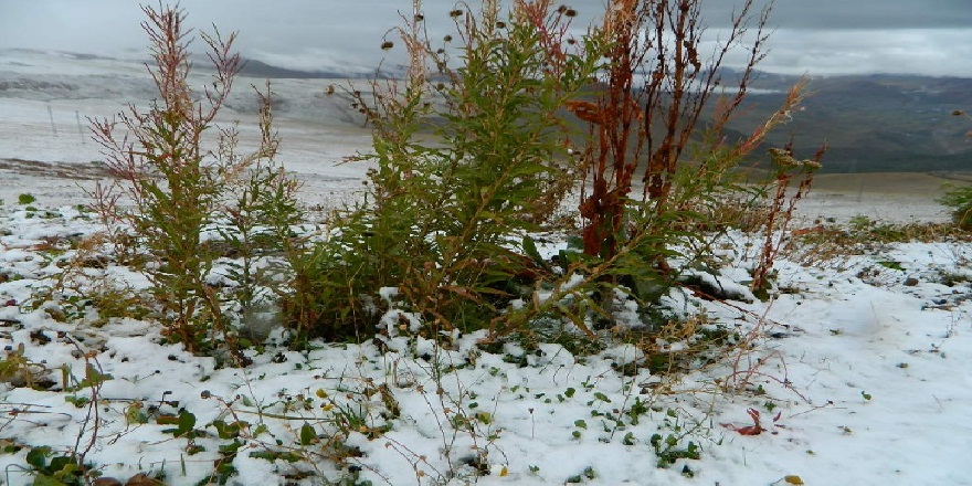 Ardahan'ın Posof ilçesine yılın ilk karı düştü!