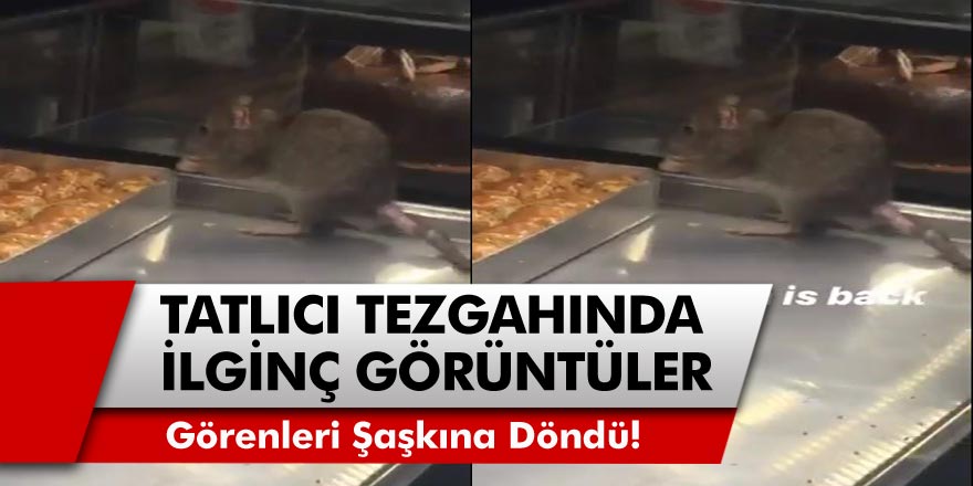 Sefaköy’de Tatlıcı Tezgahında Gezinen Fare, Görenleri Şaşkına Çevirdi! Görüntüler Anbean Kayıt Altına Alındı…
