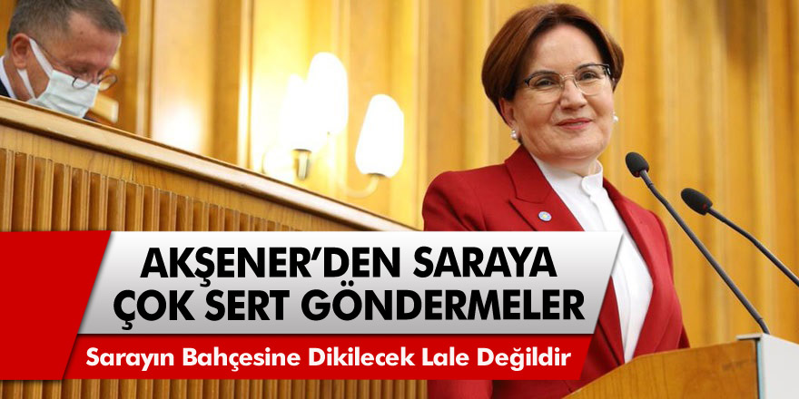 Meral Akşener'den saraya sert eleştiri! Milliyetçiler sarayın bahçesine dikilecek lale değildir!