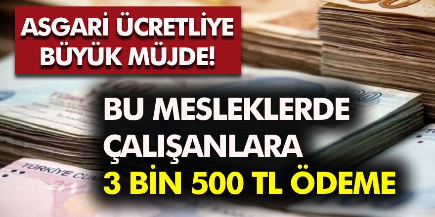 Milyonlarca Asgari Ücretlilere Müjde! Bu Mesleklerde Çalışanlara 3 Bin 500 Lira Maaş...