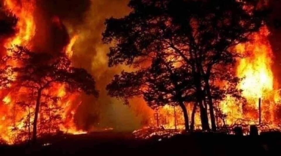 Suriye Şam'da orman yangınında ölü sayısı 3'e yükseldi