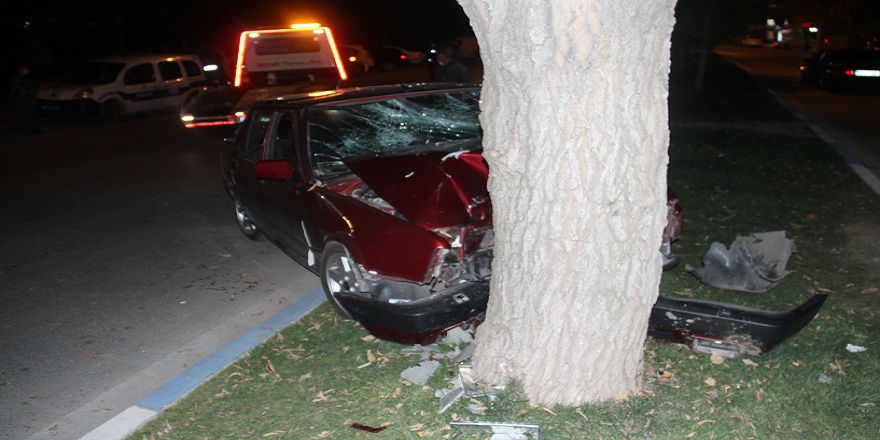 Konya Beyşehir'de, direksiyon hakimiyetini kaybeden otomobil ağaca çarptı