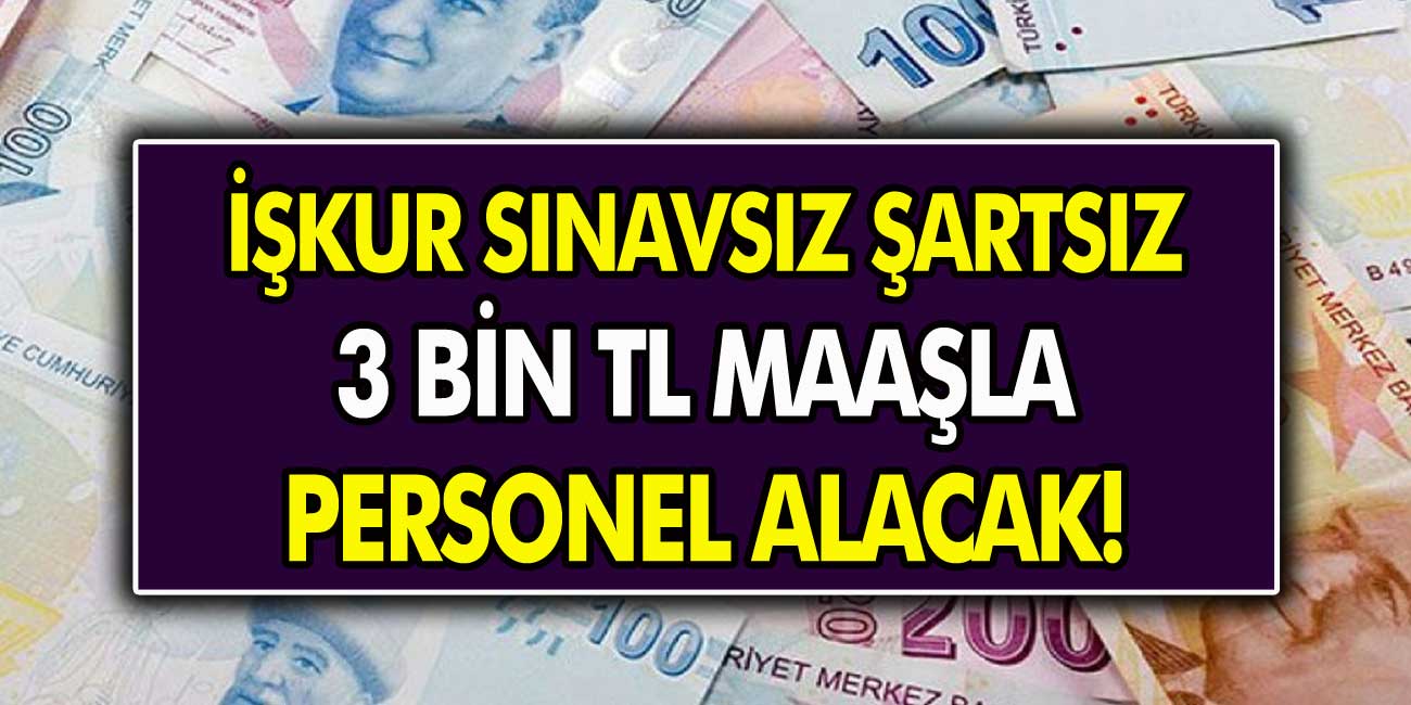 İŞKUR KPSS’siz personel alımları başvuruları başladı! Hemen işe başlayıp 3 Bin TL alın…