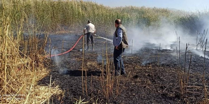 Van Muradiye'de Birçok kuş türünün yaşadığı sulak alanda yangın