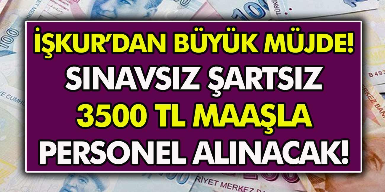 İŞKUR’dan Büyük Hamle: Bu İşe Başvuranın Hayatı Kurtulacak! Sınavsız Şartsız 3.500 TL Maaşa Personel Alınacak!