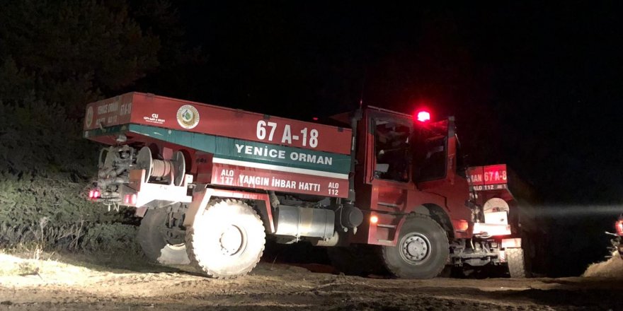 Kastamonu’da ormanlık alanda korkutan yangın