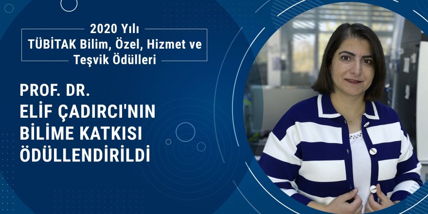 Tıp Fakültesi Öğretim Üyesi Prof. Dr. Elif Çadırcı üstün nitelikli çalışmaları” nedeniyle Teşvik Ödülü aldı!