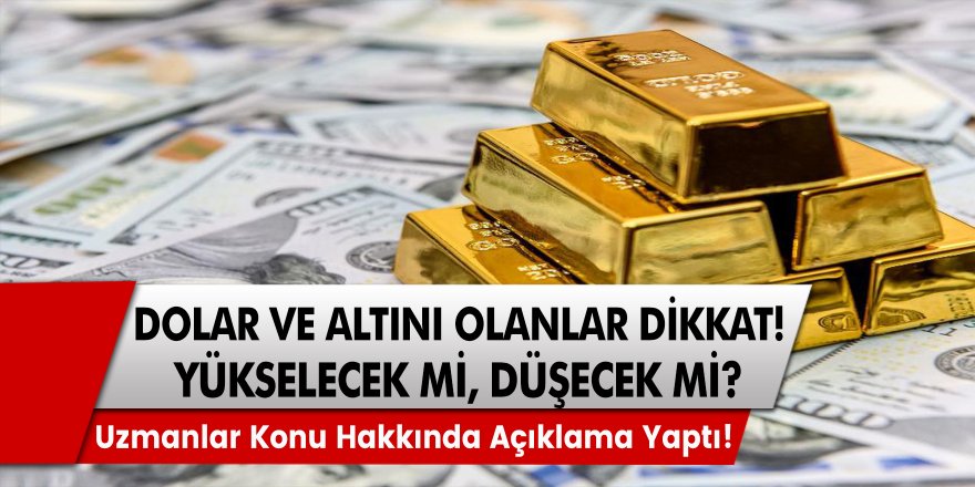 Doları ve Altını Olanlar Dikkat - Yükselecek mi Düşecek mi? Uzmanlardan Net Açıklama Geldi…