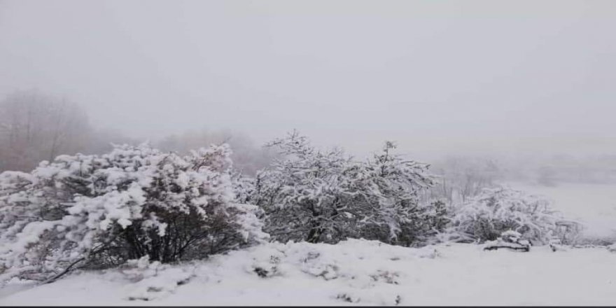 Afyonkarahisar'da mevsiminin ilk karı düştü