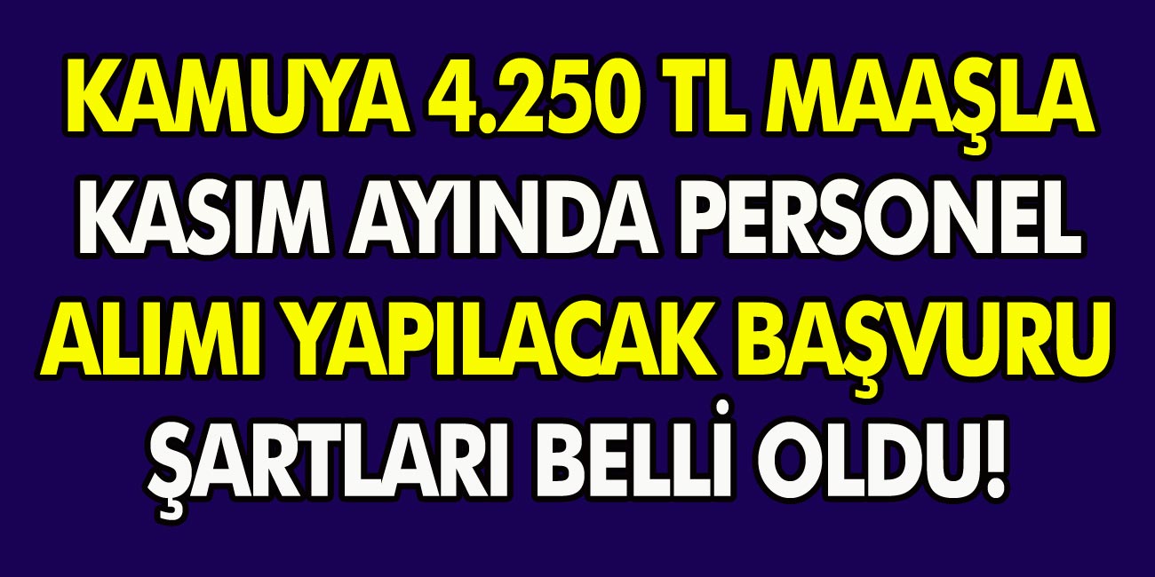 İŞKUR Kamuya 4250 TL Maaşla Kasım Ayı Personel Alımı yapacak Başvuru Şartları Belli Oldu! O İllerimizde Yaşayanlar Dikkat!