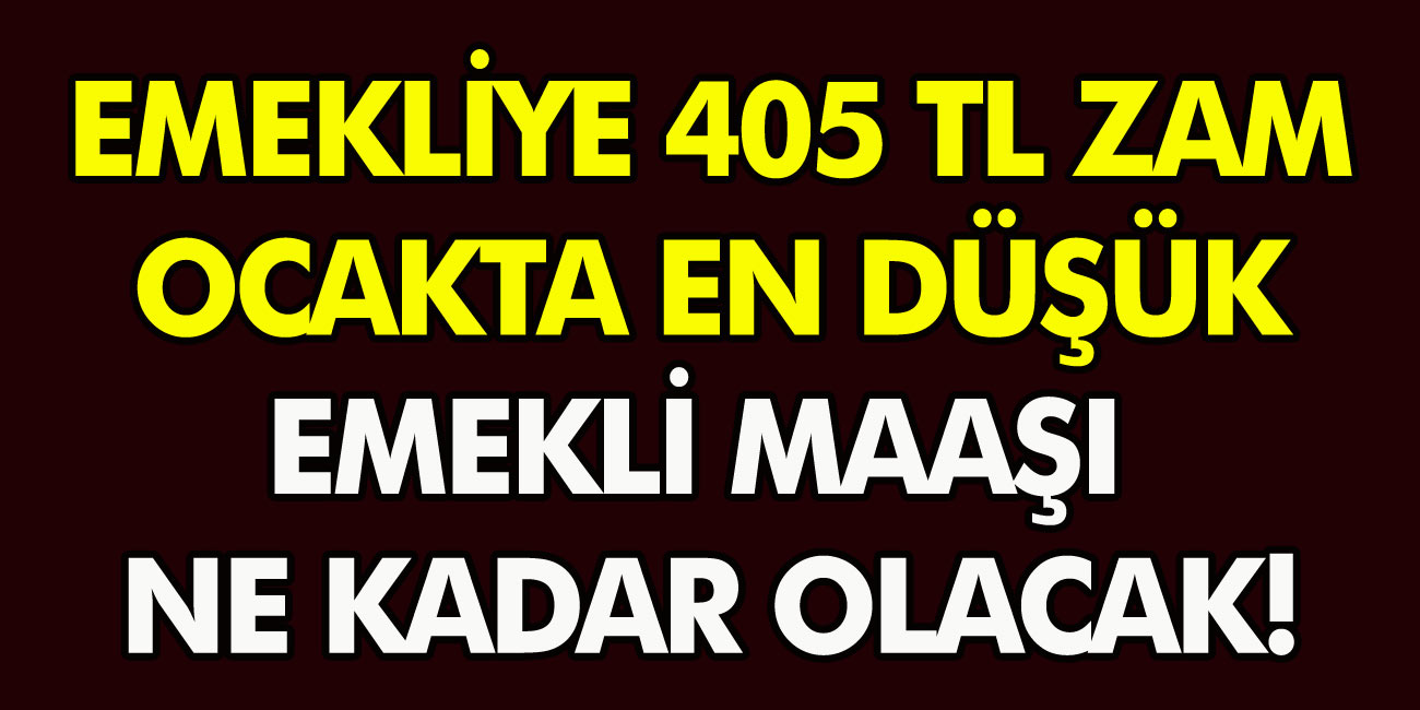 Emekli Zammı Belli Oldu! Emekliye 405 tl zam Ocak Ayında Emeklilere Ne Kadar Zam Yapılacak?