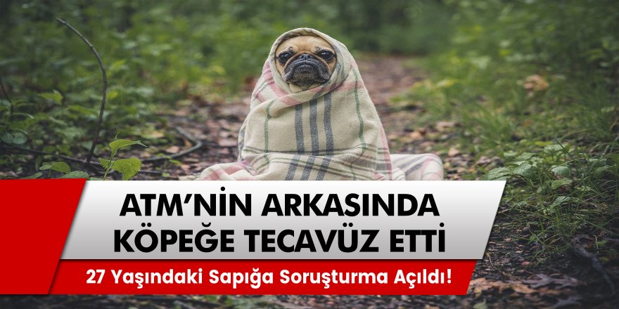 ATM arkasında köpeğe tecavüz ederken polise yakalandı! 27 Yaşındaki sapığa soruşturma açıldı!