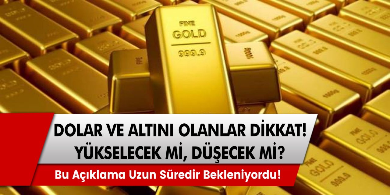 Yatırım uzmanından yatırımcılara beklenen yanıt! Dolar mı almalıyım, altın mı?