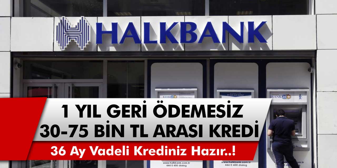 Halkbank’tan milyonlara büyük müjde! Tam 36 ay vade ile 30 ila 75 bin TL arasında kredi fırsatları 1 yıl geri ödemesiz geliyor…