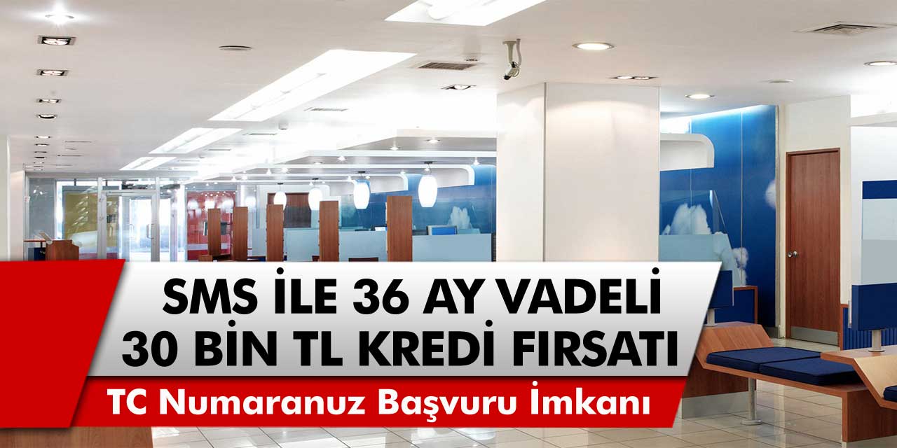 SMS ile kredi imkanı! TC numaranız ile 36 ay vadeli 30 bin lira kredi başvurusu yapabilirsiniz! Bankaya gitmeden hemen paranızı