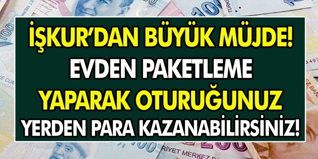 İŞKUR’dan müjde! Oturduğunuz yerden para kazanabilirsiniz! Başvuru ekranı ve personel alım şartları…