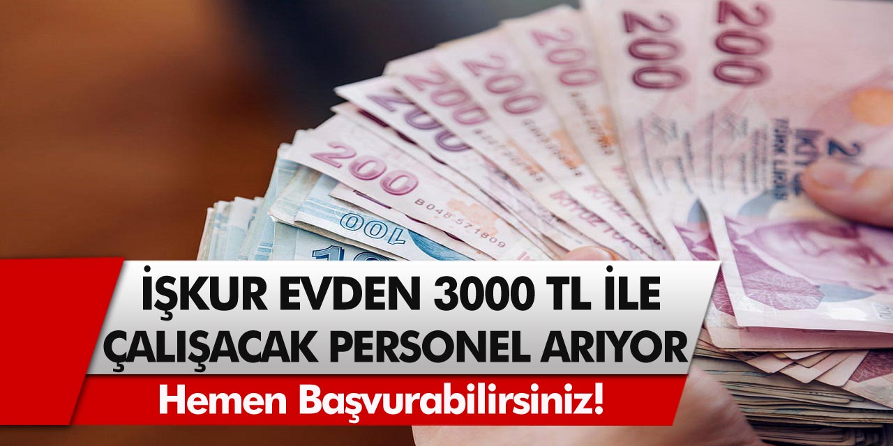 İŞKUR, Evden 3000 TL ile Çalışacak Personel Arıyor! Hemen Başvuru Yapabilirsiniz…