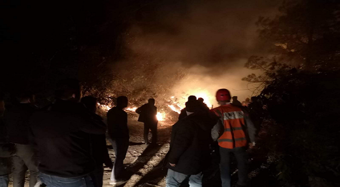 Artvin'de orman yangını
