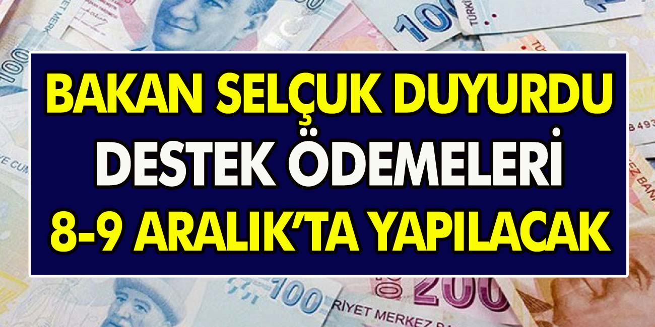 Son Dakika Haberi! Milyonlarca Kişinin Beklediği Destek Ödemeleri 8-9 Aralık'ta Yapılacak!