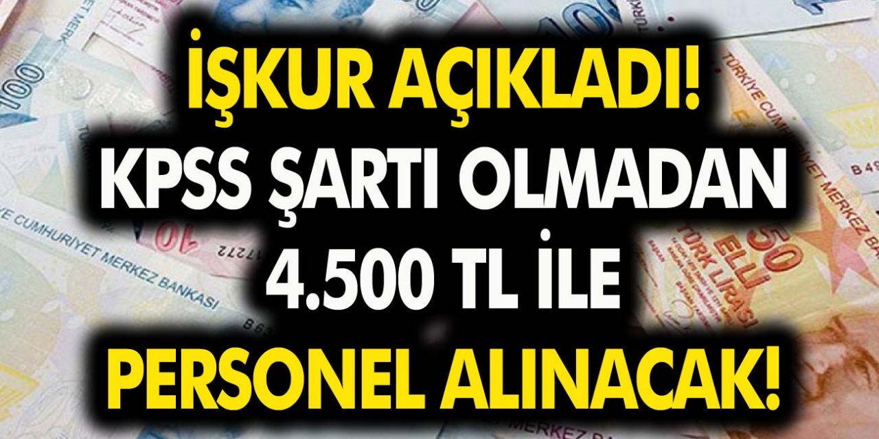 İŞKUR’dan müjde! KPSS şartı olmadan 4.500 TL ile maaşla mülakatsız personel alınacak... Başvuru şartları belli oldu…