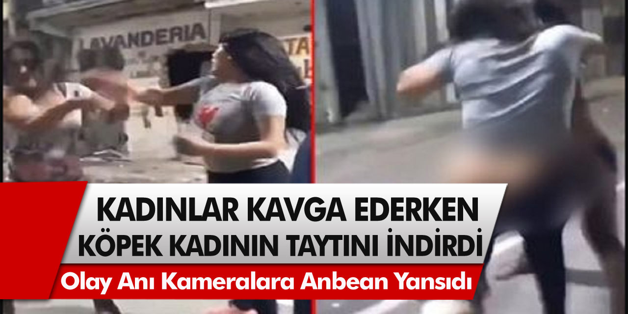 Böyle bir kavga ne görüldü ne duyuldu! Sokakta kadınlar saç baş yolarken, sokak köpeği kadının taytını aşağı indirdi...