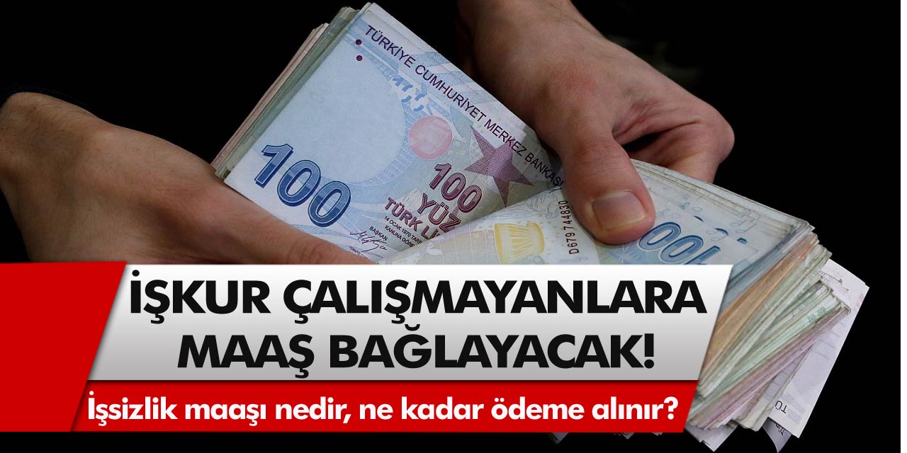 Son Dakika: Çalışmayanlar, işten çıkarılanlar İŞKUR tarafından maaşa bağlanacak! İşsizlik maaşı nedir, ne kadar ödeme alınır?