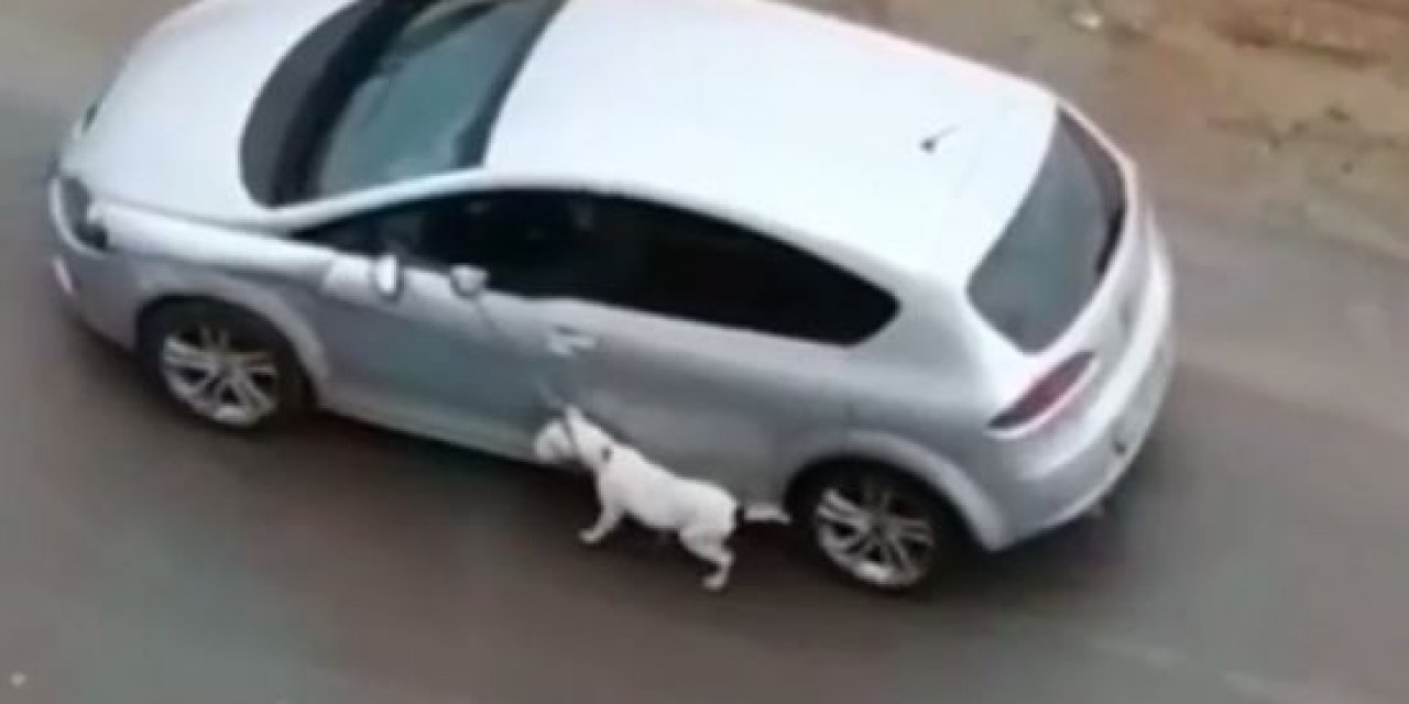 Antalya'da bir kişi Köpeğini tasmasından tutup arabasında sürükleyerek gezdirdi