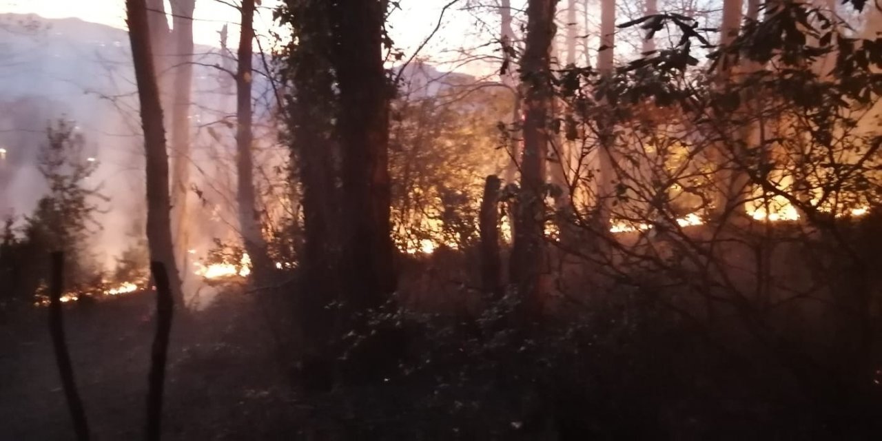 Ordu Ünye'de örtü yangını evlere sıçramadan söndürüldü