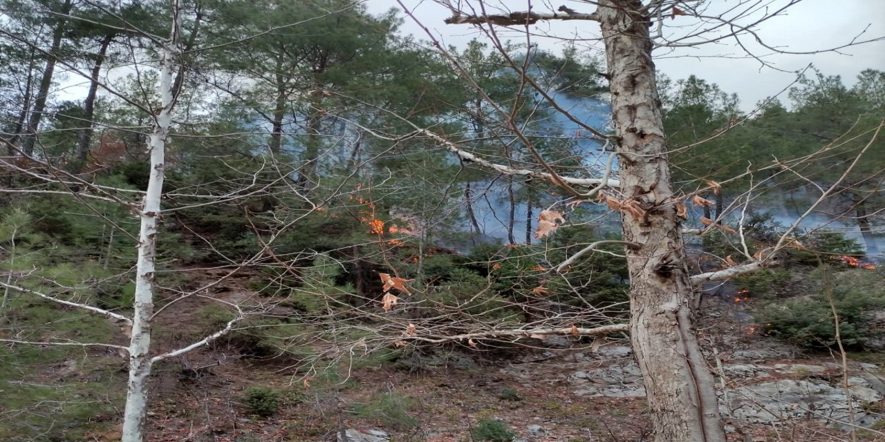 Osmaniye’nin Düziçi ilçesinde orman yangını