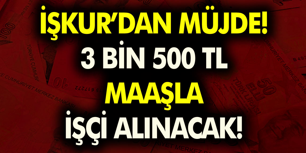 İŞKUR müjdeyi verdi! KPSS şartı olmadan 3 bin 500 TL maaşla personel alınacak…