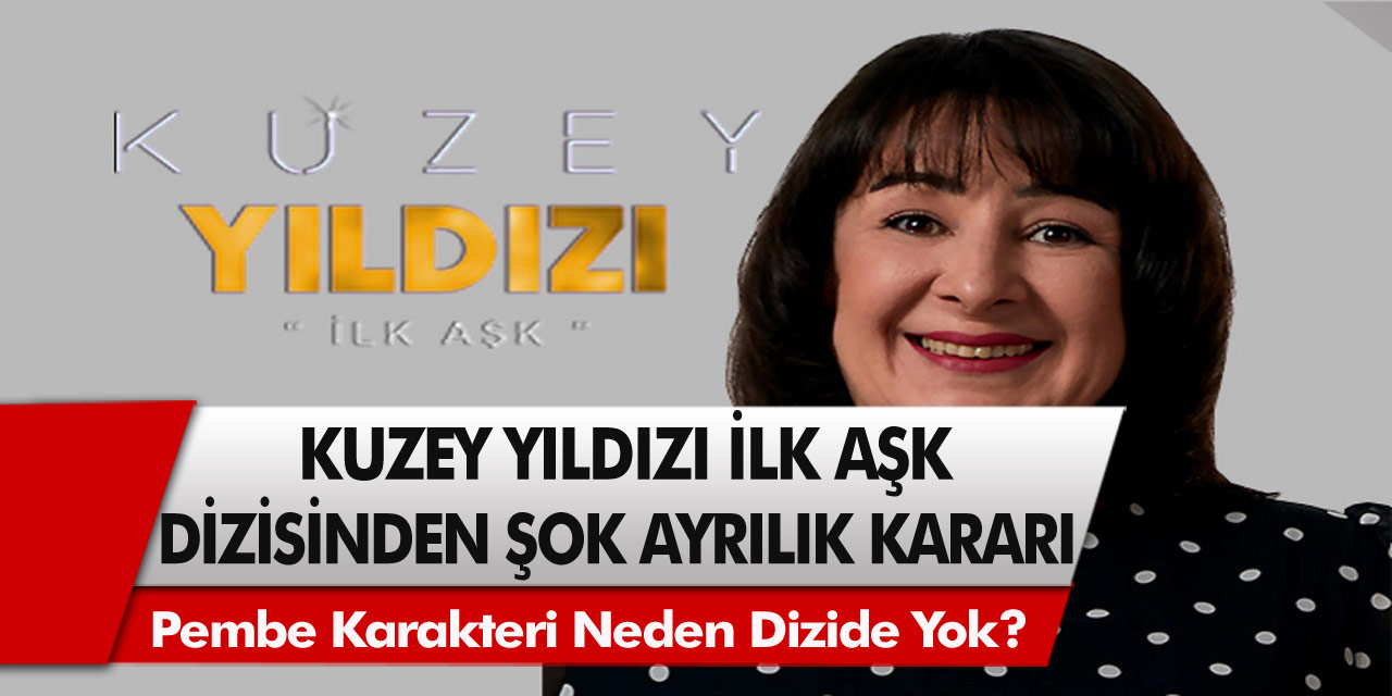 Kuzey Yıldızı İlk Aşk dizisinden şok ayrılık kararı! Zeynep Kankonde diziden ayrılacak mı? Pembe karakteri neden dizide yok?