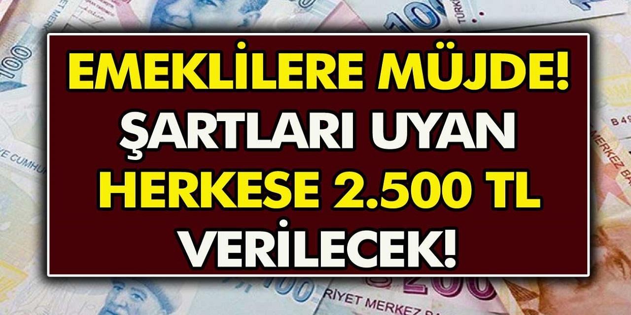 Son Dakika: Emeklilere 2500 TL ek ödeme yapılacak! Bankalardan anında ödeme alınabilecek!