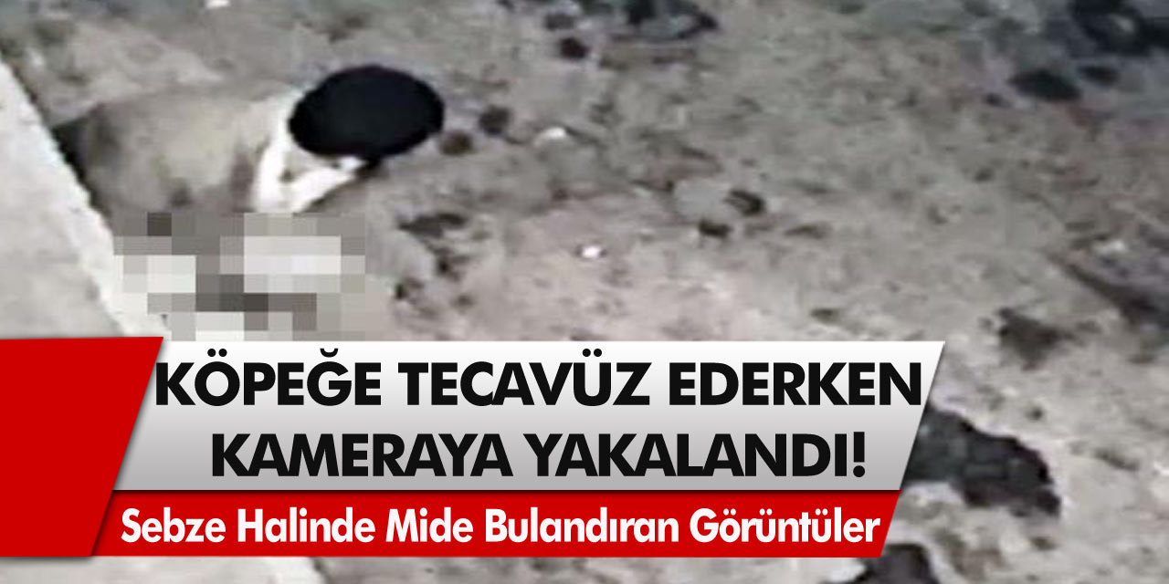 Sebze Halinde Mide Bulandıran Olay! Güvenlik Kamerasına Köpeğe Tecavüz Ederken Yakalandı, Görenin Midesi Bulandı!