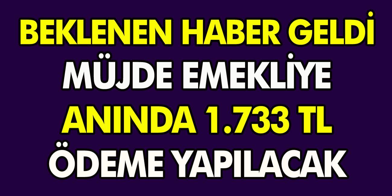 Herkesin Merakla Beklediği O Tarih Belli Oldu! Emeklilere Anında 1.733 TL Ödeme Yapılacak…