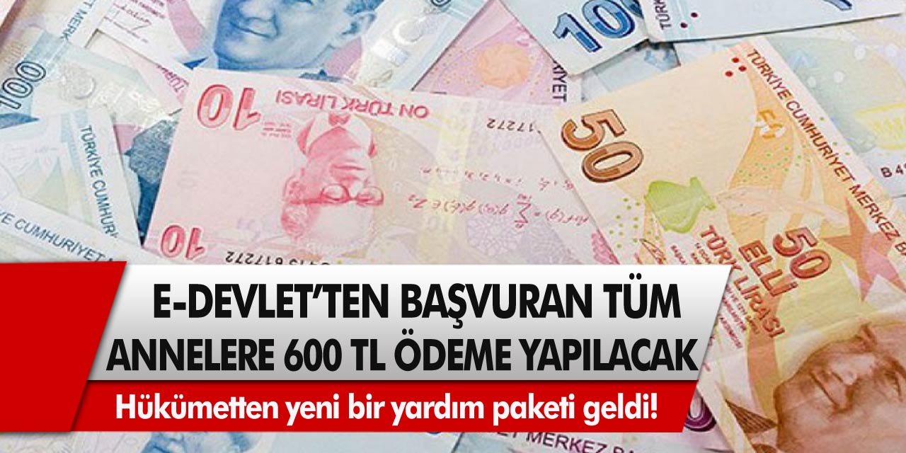 Hükümetten yeni bir yardım paketi geldi! Edevlet başvurusu yapan tüm