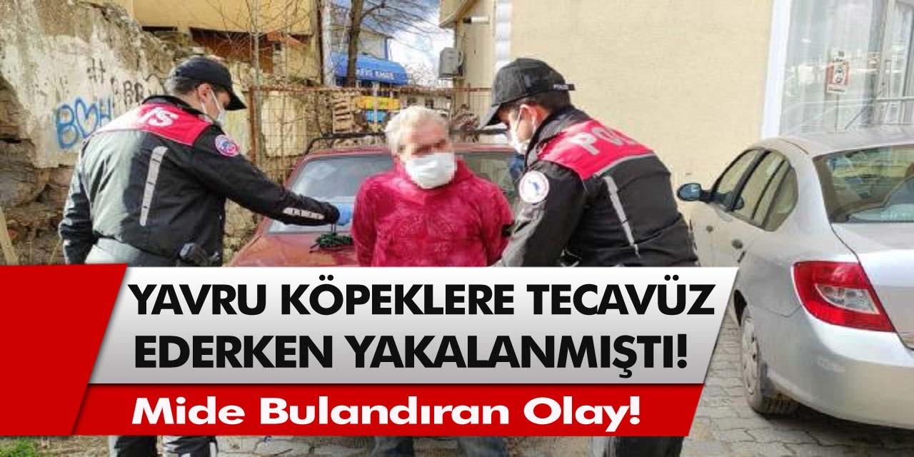 O İlimizde Mide Bulandıran Olay! Sapık Yavru Köpeklere İstismar Ederken Yakalandı