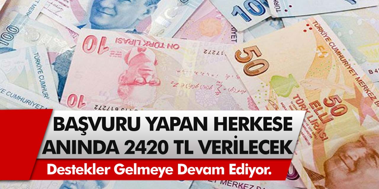 Yaşlılara beklenen destek! Başvuru yapan herkese anında 2420 TL verilecek!