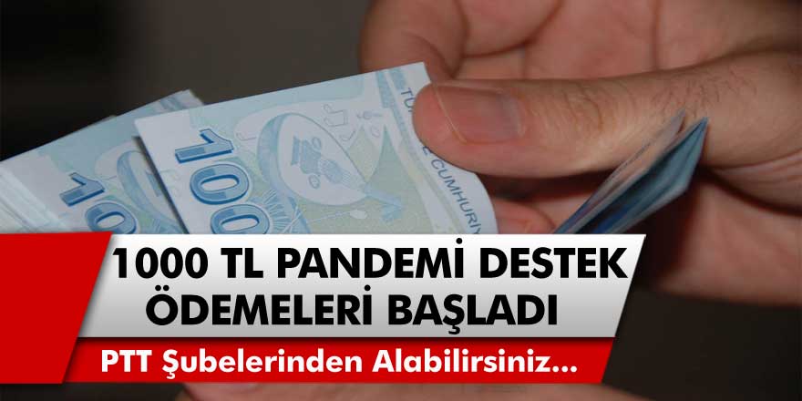 3. Faz 1000 TL Pandemi Başvuruları Başladı, Anında PTT Şubelerinden Alabilirsiniz… 3. Faz Pandemi Desteği Sorgulama Ekranı