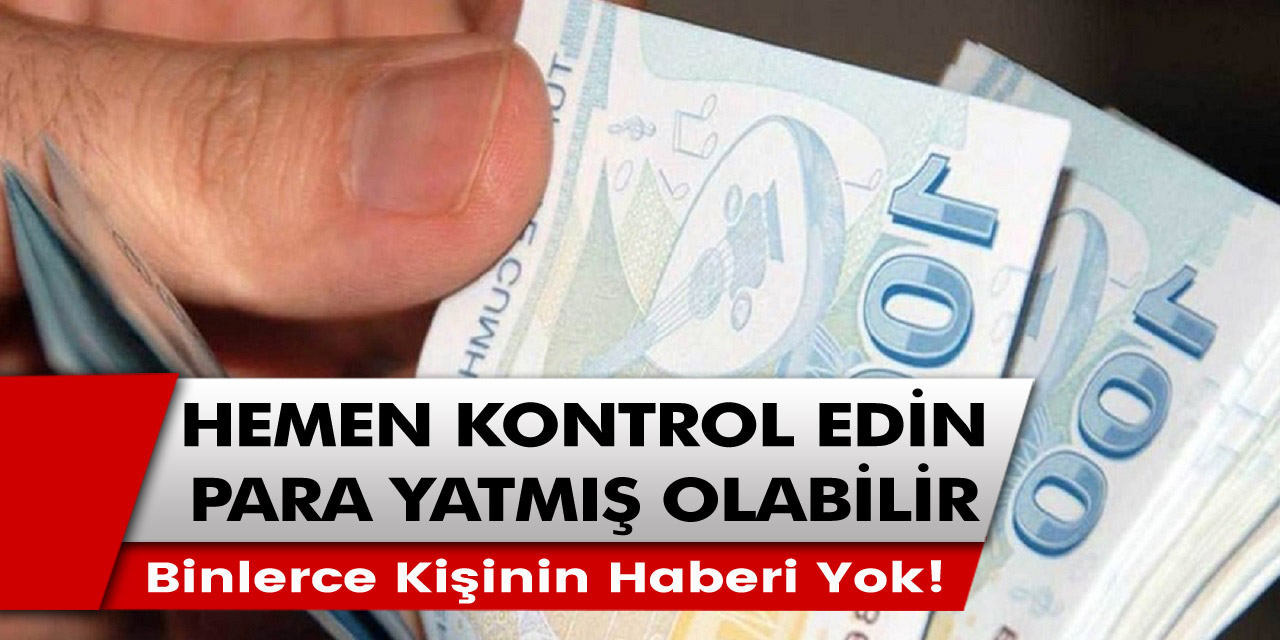 Binlerce kişinin haberi yok! Hemen kontrol edin, Pandemi ödemeleri yatmaya başladı