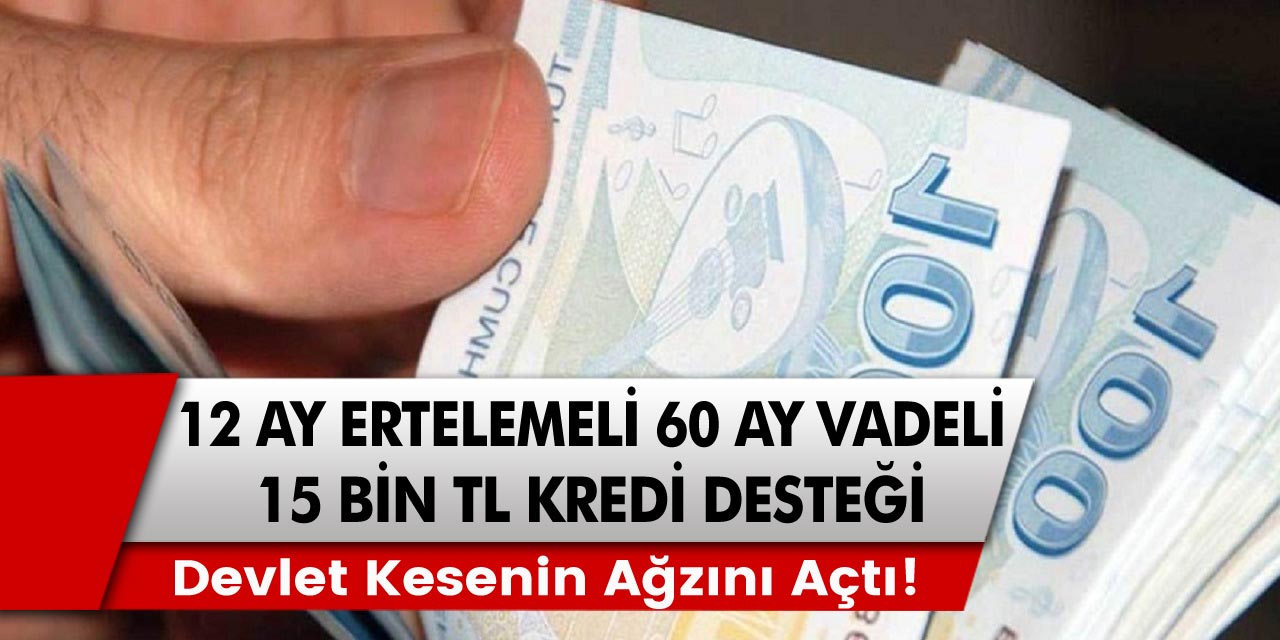 Hükümet kanadından müjde! Normalleşme sürecinde kesenin ağzı açıldı... 12 ay ertelemeli faizsiz 15 bin TL kredi tam 60 ay vade ile…