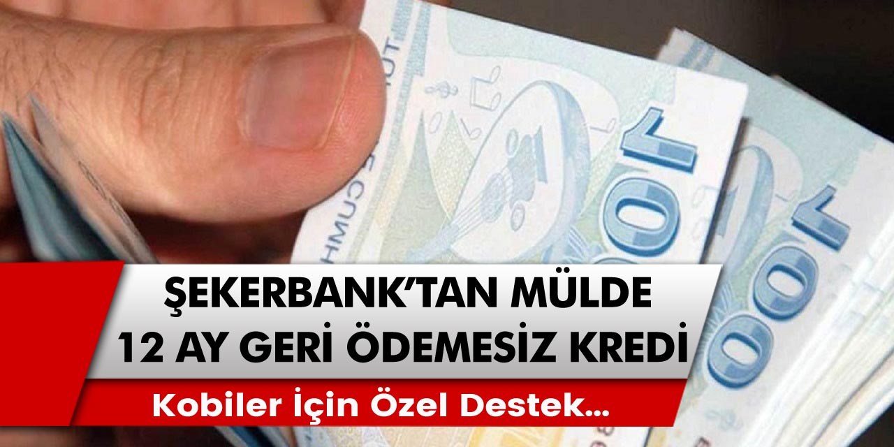 Şekerbank’tan müjde! 12 ay geri ödemesi olmayan kredi fırsatları…