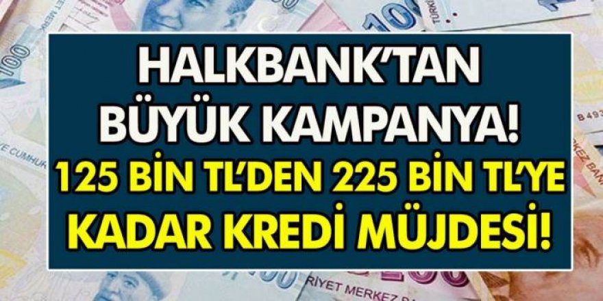 Halkbank’tan müjde! 6 ay geri ödemesiz 225 bin TL kredi başvuruları başladı... Tüm detaylar açıklandı!