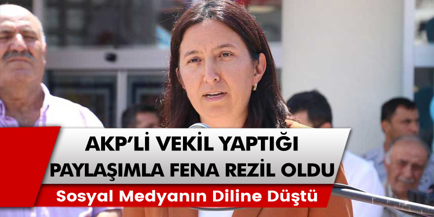 AKP'li Vekil Semiha Ekinci yaptığı paylaşımıyla fena rezil oldu! Sosyal medyanın diline düştü!