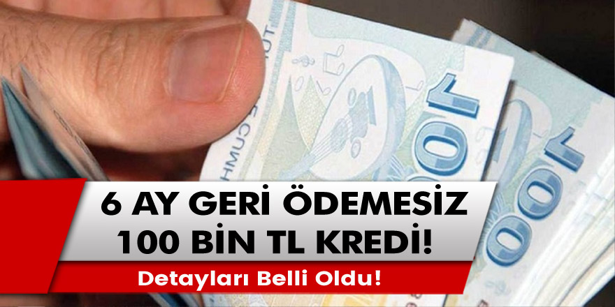 Vatandaşlara müjde! 100 bin TL, 6 ay geri ödemesiz kredi detayları belli oldu…