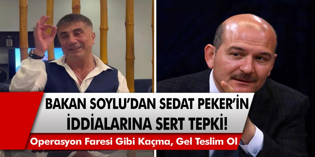 Bakan Soylu'dan Sedat Peker'in iddialarına sert tepki: Gel teslim ol, Operasyon faresi gibi kaçma!